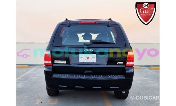 Buy Import Ford Escape Black Car in Import - Dubai in Bandundu Buy Import Ford Escape Black Car in Import - Dubai in Bandundu
