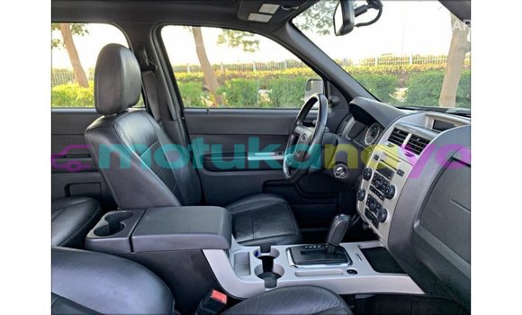 Buy Import Ford Escape Black Car in Import - Dubai in Bandundu Buy Import Ford Escape Black Car in Import - Dubai in Bandundu