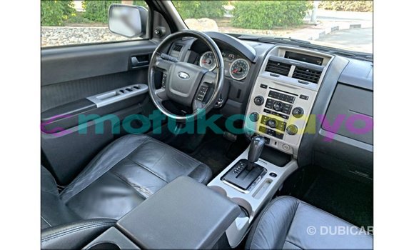 Buy Import Ford Escape Black Car in Import - Dubai in Bandundu Buy Import Ford Escape Black Car in Import - Dubai in Bandundu