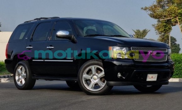 Buy Import Chevrolet Tahoe Black Car in Import - Dubai in Bandundu Buy Import Chevrolet Tahoe Black Car in Import - Dubai in Bandundu