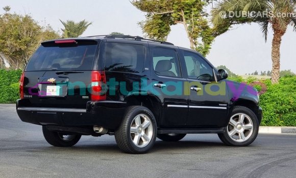 Buy Import Chevrolet Tahoe Black Car in Import - Dubai in Bandundu Buy Import Chevrolet Tahoe Black Car in Import - Dubai in Bandundu