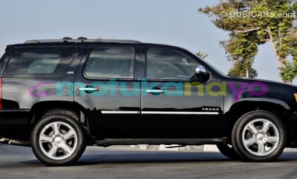Buy Import Chevrolet Tahoe Black Car in Import - Dubai in Bandundu Buy Import Chevrolet Tahoe Black Car in Import - Dubai in Bandundu
