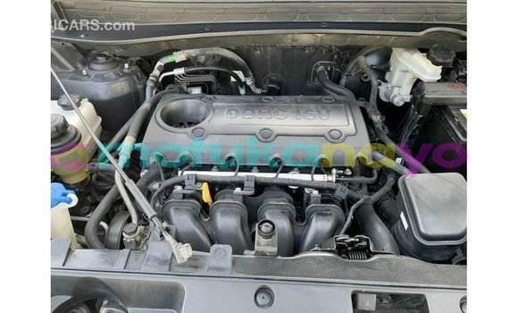 Buy Import Kia Sportage Black Car in Import - Dubai in Bandundu Buy Import Kia Sportage Black Car in Import - Dubai in Bandundu