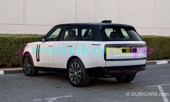 Buy Import Land Rover Range Rover White Car in Import - Dubai in Bandundu Buy Import Land Rover Range Rover White Car in Import - Dubai in Bandundu