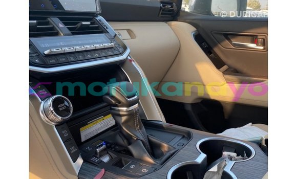 Buy Import Toyota Land Cruiser Black Car in Import - Dubai in Bandundu Buy Import Toyota Land Cruiser Black Car in Import - Dubai in Bandundu