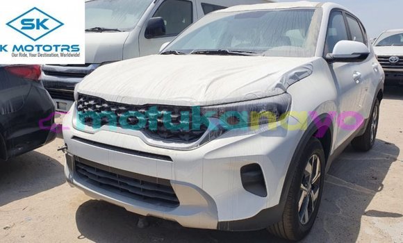 Buy Import Kia Rio White Car in Import - Dubai in Bandundu