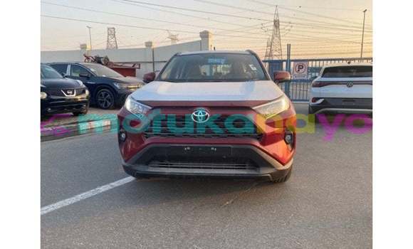 Buy Import Toyota RAV 4 Red Car in Import - Dubai in Bandundu Buy Import Toyota RAV 4 Red Car in Import - Dubai in Bandundu