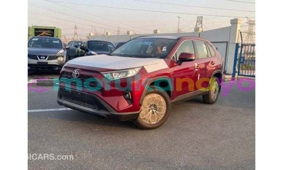 Buy Import Toyota RAV 4 Red Car in Import - Dubai in Bandundu Buy Import Toyota RAV 4 Red Car in Import - Dubai in Bandundu