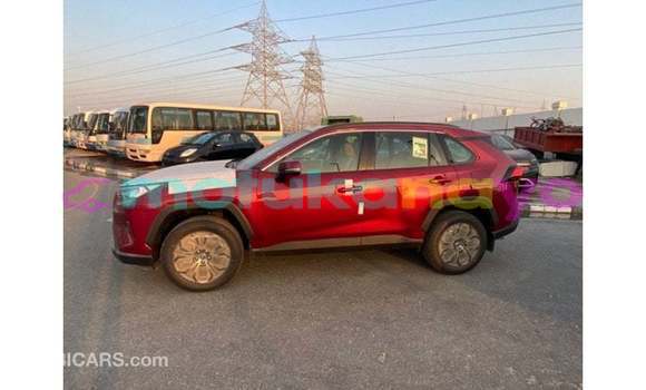 Buy Import Toyota RAV 4 Red Car in Import - Dubai in Bandundu Buy Import Toyota RAV 4 Red Car in Import - Dubai in Bandundu