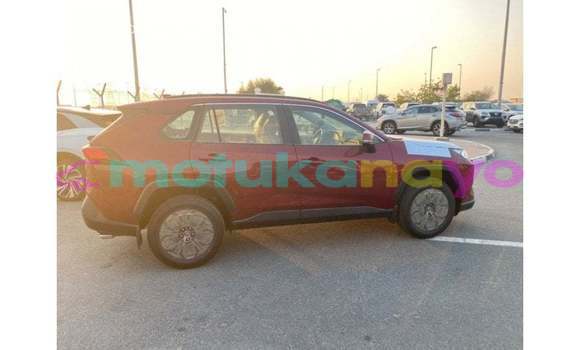 Buy Import Toyota RAV 4 Red Car in Import - Dubai in Bandundu Buy Import Toyota RAV 4 Red Car in Import - Dubai in Bandundu
