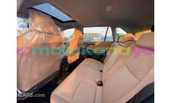 Buy Import Toyota RAV 4 Red Car in Import - Dubai in Bandundu Buy Import Toyota RAV 4 Red Car in Import - Dubai in Bandundu
