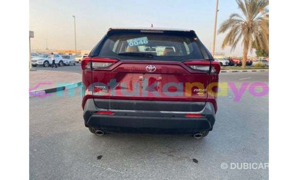 Buy Import Toyota RAV 4 Red Car in Import - Dubai in Bandundu Buy Import Toyota RAV 4 Red Car in Import - Dubai in Bandundu