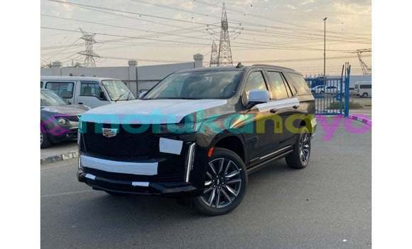 Buy Import Cadillac Escalade Black Car in Import - Dubai in Bandundu Buy Import Cadillac Escalade Black Car in Import - Dubai in Bandundu