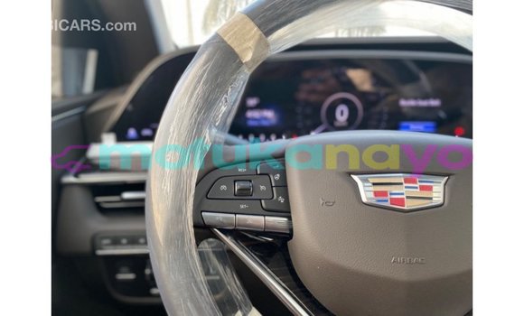 Buy Import Cadillac Escalade Black Car in Import - Dubai in Bandundu Buy Import Cadillac Escalade Black Car in Import - Dubai in Bandundu