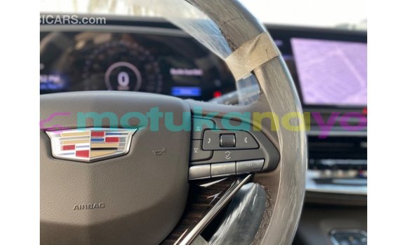 Buy Import Cadillac Escalade Black Car in Import - Dubai in Bandundu Buy Import Cadillac Escalade Black Car in Import - Dubai in Bandundu