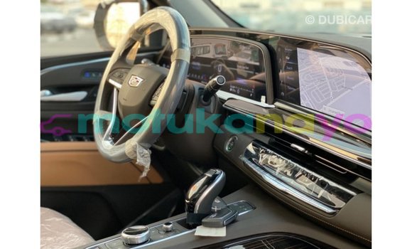 Buy Import Cadillac Escalade Black Car in Import - Dubai in Bandundu Buy Import Cadillac Escalade Black Car in Import - Dubai in Bandundu