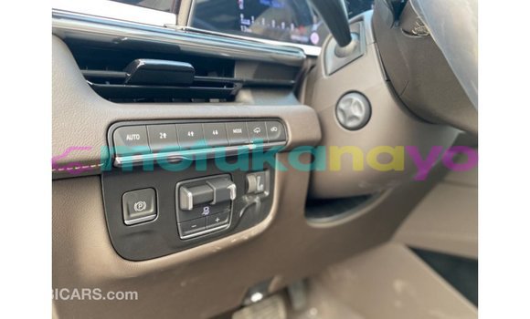 Buy Import Cadillac Escalade Black Car in Import - Dubai in Bandundu Buy Import Cadillac Escalade Black Car in Import - Dubai in Bandundu