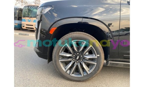 Buy Import Cadillac Escalade Black Car in Import - Dubai in Bandundu Buy Import Cadillac Escalade Black Car in Import - Dubai in Bandundu