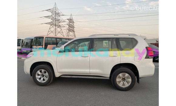 Buy Import Toyota Prado White Car in Import - Dubai in Bandundu Buy Import Toyota Prado White Car in Import - Dubai in Bandundu