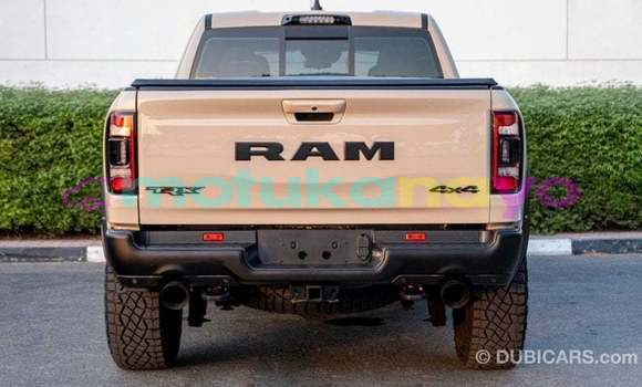 Acheter Import Voiture Dodge RAM Beige à Import - Dubai, Bandundu Acheter Import Voiture Dodge RAM Beige à Import - Dubai, Bandundu