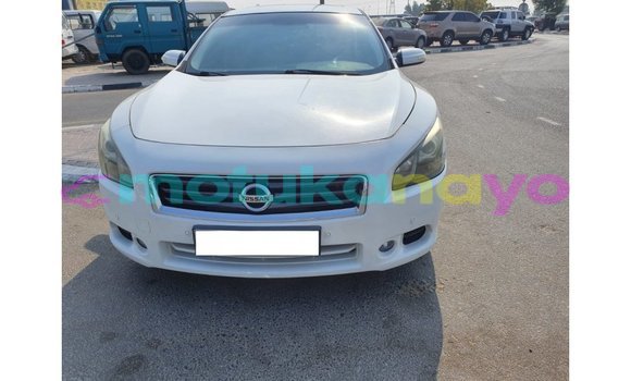 Buy Import Nissan Maxima White Car in Import - Dubai in Bandundu Buy Import Nissan Maxima White Car in Import - Dubai in Bandundu