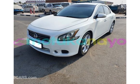 Buy Import Nissan Maxima White Car in Import - Dubai in Bandundu Buy Import Nissan Maxima White Car in Import - Dubai in Bandundu