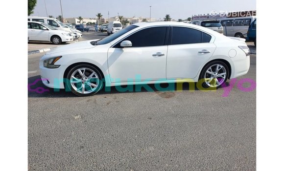 Buy Import Nissan Maxima White Car in Import - Dubai in Bandundu Buy Import Nissan Maxima White Car in Import - Dubai in Bandundu