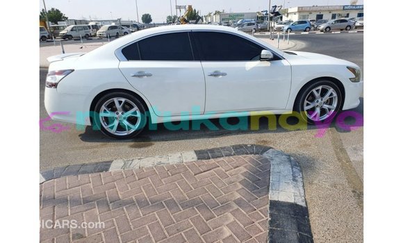 Buy Import Nissan Maxima White Car in Import - Dubai in Bandundu Buy Import Nissan Maxima White Car in Import - Dubai in Bandundu