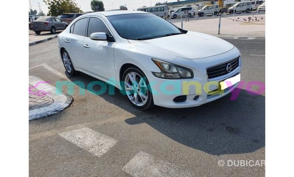 Buy Import Nissan Maxima White Car in Import - Dubai in Bandundu Buy Import Nissan Maxima White Car in Import - Dubai in Bandundu