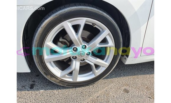 Buy Import Nissan Maxima White Car in Import - Dubai in Bandundu Buy Import Nissan Maxima White Car in Import - Dubai in Bandundu