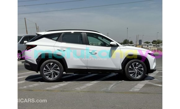 Buy Import Hyundai Tucson White Car in Import - Dubai in Bandundu Buy Import Hyundai Tucson White Car in Import - Dubai in Bandundu