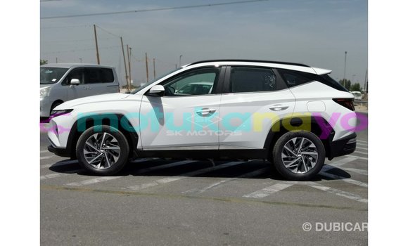 Buy Import Hyundai Tucson White Car in Import - Dubai in Bandundu Buy Import Hyundai Tucson White Car in Import - Dubai in Bandundu