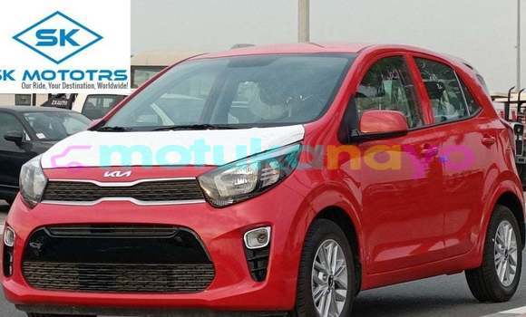 Buy Import Kia Picanto Red Car in Import - Dubai in Bandundu