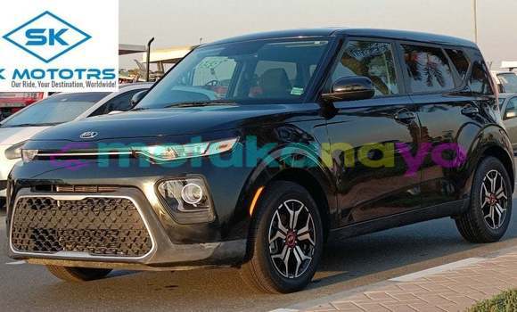 Buy Import Kia Soul Black Car in Import - Dubai in Bandundu Buy Import Kia Soul Black Car in Import - Dubai in Bandundu
