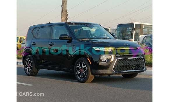 Buy Import Kia Soul Black Car in Import - Dubai in Bandundu Buy Import Kia Soul Black Car in Import - Dubai in Bandundu