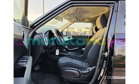 Buy Import Kia Soul Black Car in Import - Dubai in Bandundu Buy Import Kia Soul Black Car in Import - Dubai in Bandundu