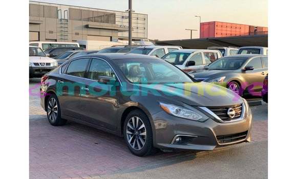 Buy Import Nissan Altima Brown Car in Import - Dubai in Bandundu