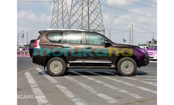 Buy Import Toyota Prado Brown Car in Import - Dubai in Bandundu Buy Import Toyota Prado Brown Car in Import - Dubai in Bandundu