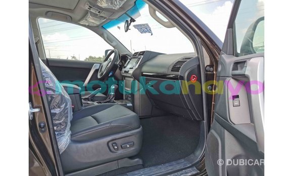 Buy Import Toyota Prado Brown Car in Import - Dubai in Bandundu Buy Import Toyota Prado Brown Car in Import - Dubai in Bandundu