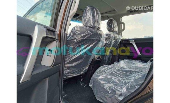 Buy Import Toyota Prado Brown Car in Import - Dubai in Bandundu Buy Import Toyota Prado Brown Car in Import - Dubai in Bandundu