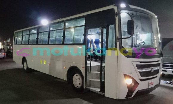 Acheter Import Voiture Tata Xenon Blanc à Import - Dubai, Bandundu