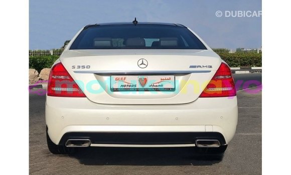 Buy Import Mercedes-Benz 190 (W201) White Car in Import - Dubai in Bandundu Buy Import Mercedes-Benz 190 (W201) White Car in Import - Dubai in Bandundu