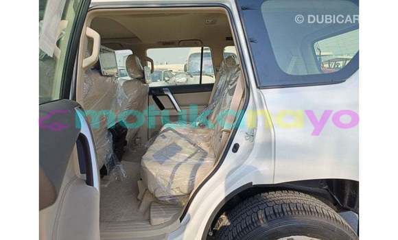 Buy Import Toyota Prado White Car in Import - Dubai in Bandundu Buy Import Toyota Prado White Car in Import - Dubai in Bandundu