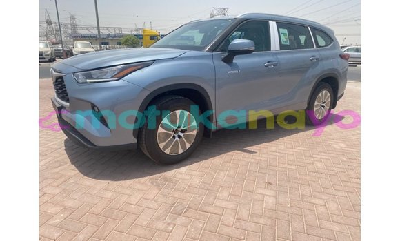 Acheter Import Voiture Toyota Highlander Bleu à Import - Dubai, Bandundu