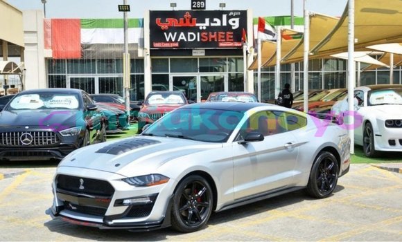 Acheter Import Voiture Ford Mustang Autre à Import - Dubai, Bandundu