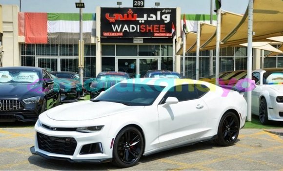 Acheter Import Voiture Chevrolet Camaro Blanc à Import - Dubai, Bandundu