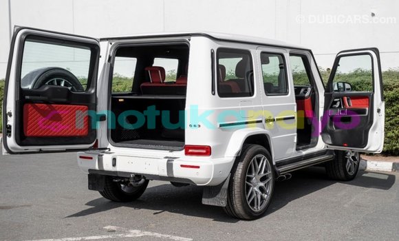 Acheter Import Voiture Mercedes-Benz 190 (W201) Blanc à Import - Dubai, Bandundu Acheter Import Voiture Mercedes-Benz 190 (W201) Blanc à Import - Dubai, Bandundu