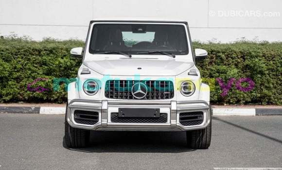 Buy Import Mercedes-Benz 190 (W201) White Car in Import - Dubai in Bandundu Buy Import Mercedes-Benz 190 (W201) White Car in Import - Dubai in Bandundu