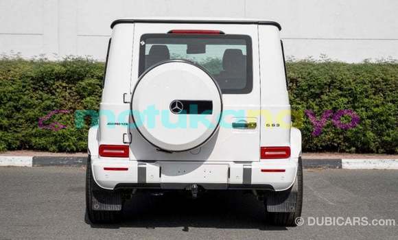 Buy Import Mercedes-Benz 190 (W201) White Car in Import - Dubai in Bandundu Buy Import Mercedes-Benz 190 (W201) White Car in Import - Dubai in Bandundu