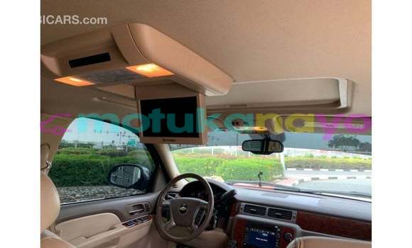 Buy Import Chevrolet Tahoe White Car in Import - Dubai in Bandundu Buy Import Chevrolet Tahoe White Car in Import - Dubai in Bandundu